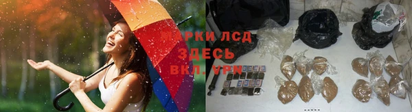 a pvp Ростов