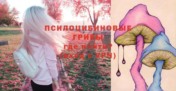 a pvp Ростов