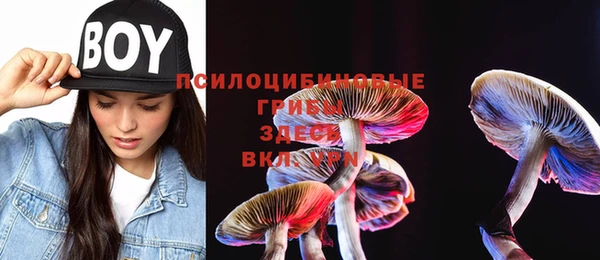 не бодяженный Россошь